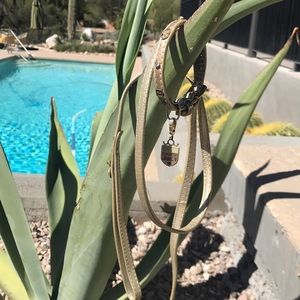 SALE Juicy Dog Collar and Leash